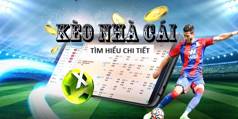 MU8-Khám phá thế giới casino trực tuyến cùng chúng tôi!